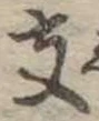 位置 確認된 支