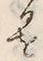 字険