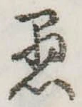 已定位愚