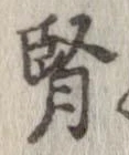 腎の位置