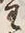 Chữ 主