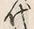 Character 代