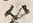 Character 近