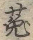已定位兎