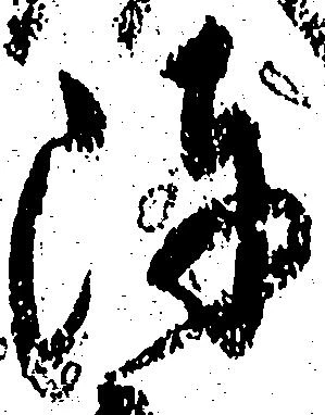 陣 위치 확인됨