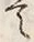 字跡