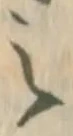 符の位置
