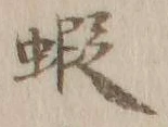 Character 蝦