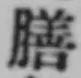 Character 膳