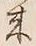 Character 来