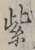 文字紫