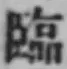 Character 臨