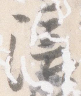 位置 確認된 陪