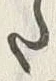 文字 酒