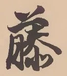 “藤”字