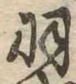 已定位羽