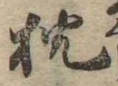 已定位枕