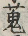 位置定マレル蒐
