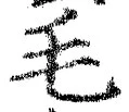 字毛