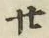 字廿