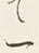 “て”字