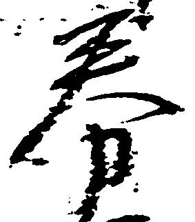 券の位置