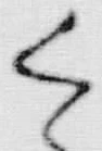 𡨸如