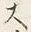 𡨸大