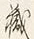 文字林