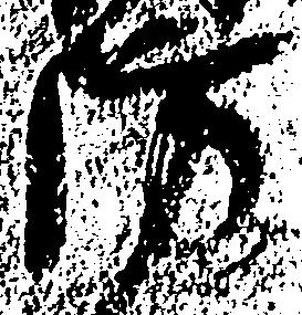 Đã định vị 防