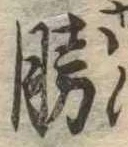 已定位勝