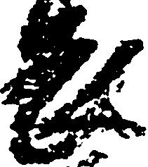 已定位畏