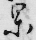 字果