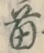 文字苗