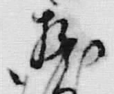 “渡”字