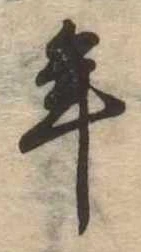 位置 確認된 年