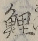 Character 鯉