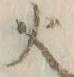 𡨸火