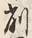 “削”字