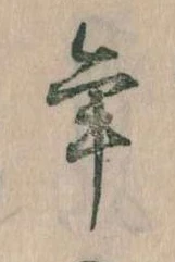 位置 確認된 年