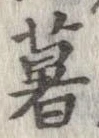已定位薯