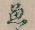 已定位魚