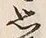 Chữ 思