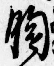 位置定マレル胸