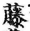 已定位藤