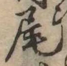 Located 尾