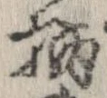 位置定マレル柄