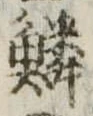 位置 確認된 鱗