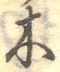 已定位木