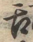 已定位舌